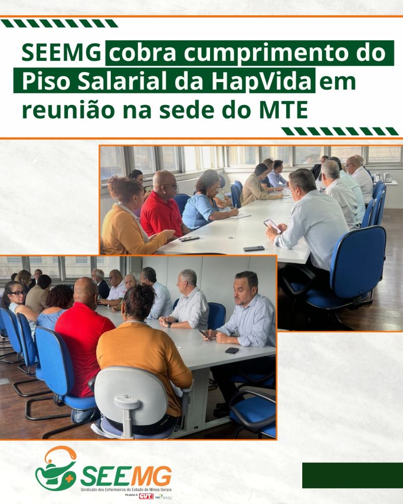 SEEMG cobra cumprimento do Piso Salarial da HapVida em reunião na sede do MTE