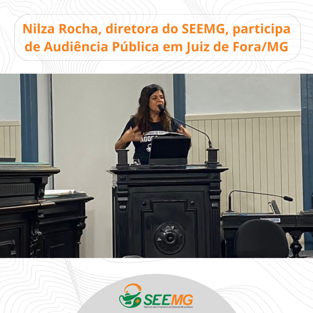 Nilza Rocha, diretora do SEEMG, participa de Audiência Pública em Juiz de Fora/MG