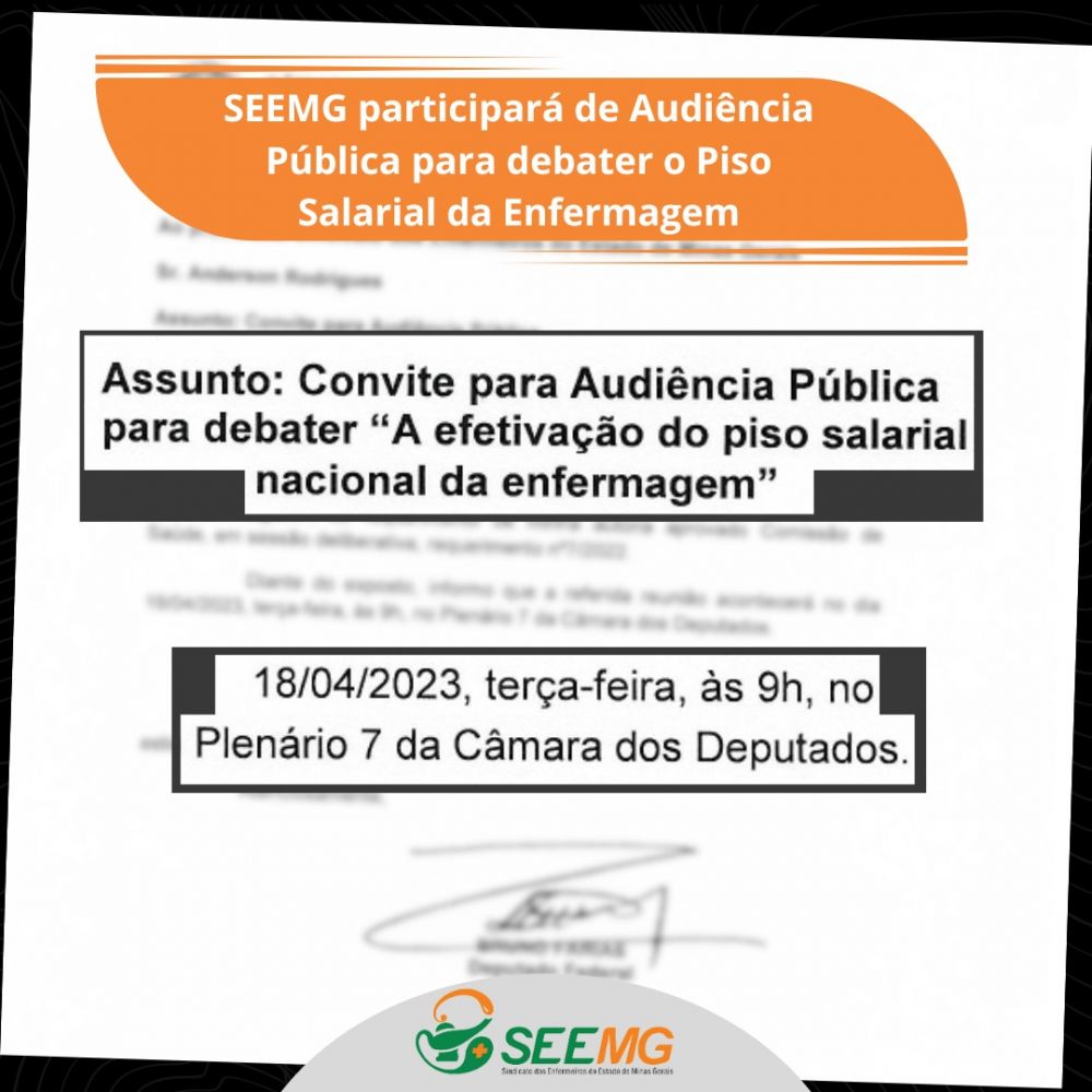 SEEMG participa de Audiência Pública para debater o Piso Salarial da Enfermagem